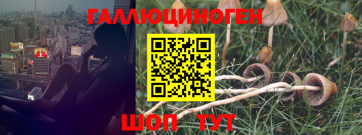 Меф МЯУ МЯУ кристаллы  Гашиш  Уварово  MDMA  Вход с VPN  КОКАИН  Канабис 